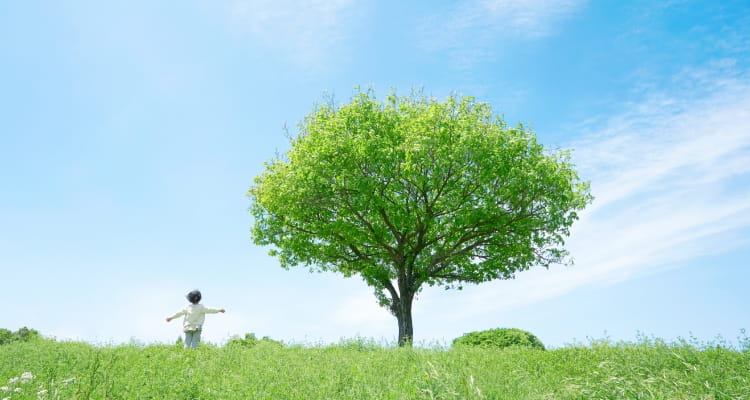 青空の木下で子供が走っている