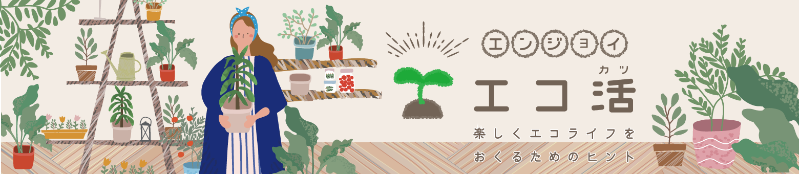 代替テキスト