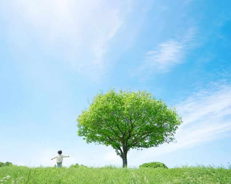 青空の木下で子供が走っている