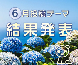 画面イメージ