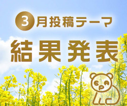 画面イメージ