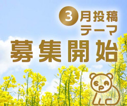 画面イメージ